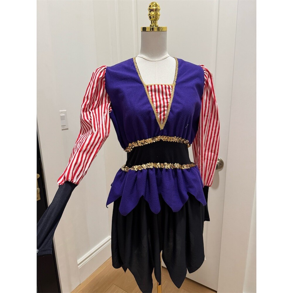 Rare Unique Vintage Childcraft Court Jester Harlequin Costume Dress Womens Small - Picture 5 of 14